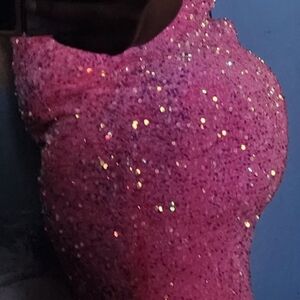 pink gown plus size 2X 16 never worn only tried on NO OUTSIDE COMMUNICATION